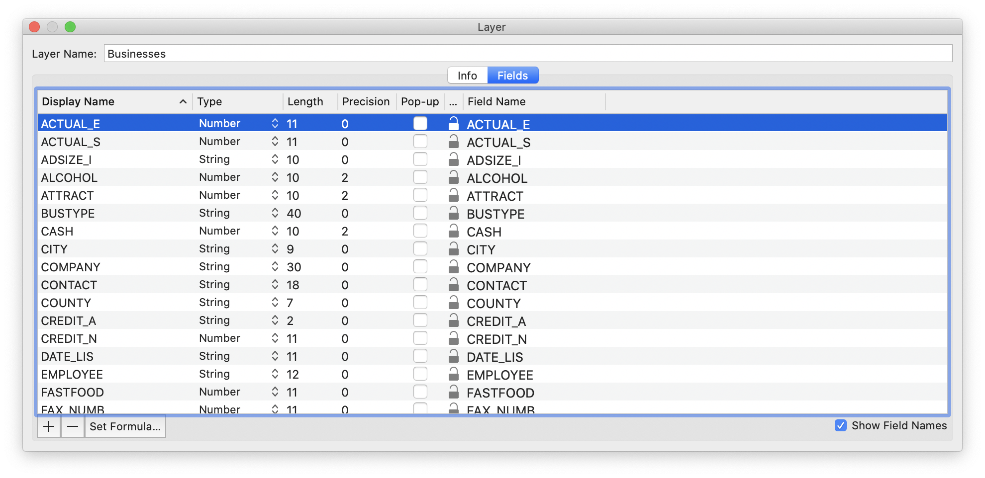Layer Info Window - Fields Tab